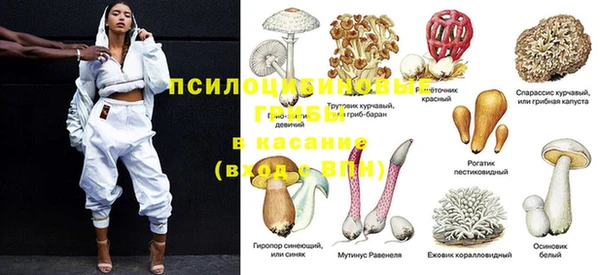 героин Алзамай