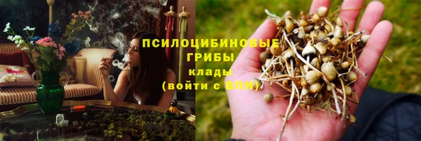 метадон Алексеевка