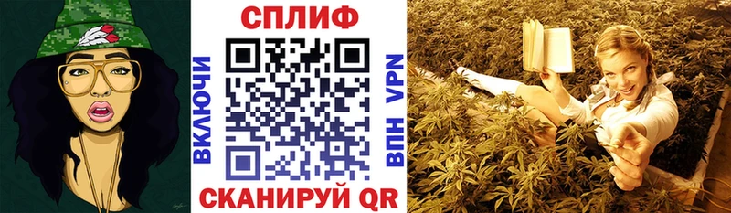 Бошки Шишки THC 21%  OMG ссылка  Аткарск  купить наркотики сайты 